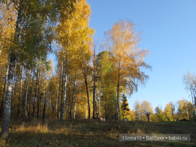 Урок осени, посвящённый ДНЮ УЧИТЕЛЯ