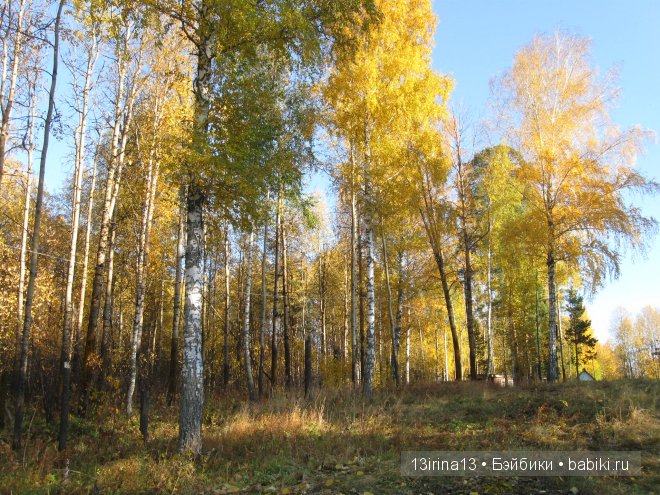 Урок осени, посвящённый ДНЮ УЧИТЕЛЯ