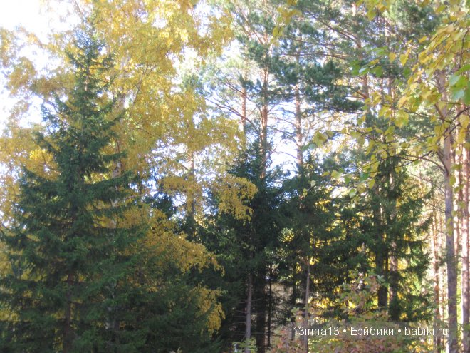 Урок осени, посвящённый ДНЮ УЧИТЕЛЯ (фото 9)