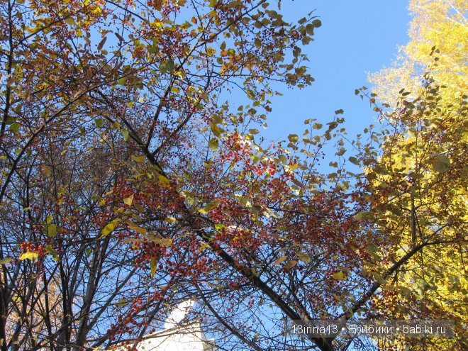 Урок осени, посвящённый ДНЮ УЧИТЕЛЯ