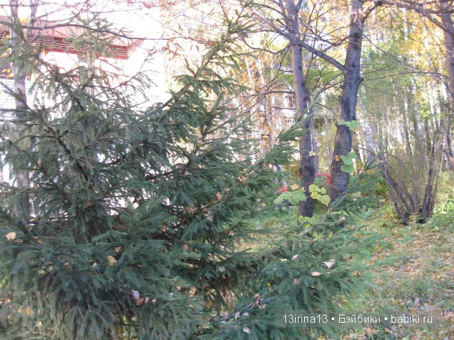 Урок осени, посвящённый ДНЮ УЧИТЕЛЯ