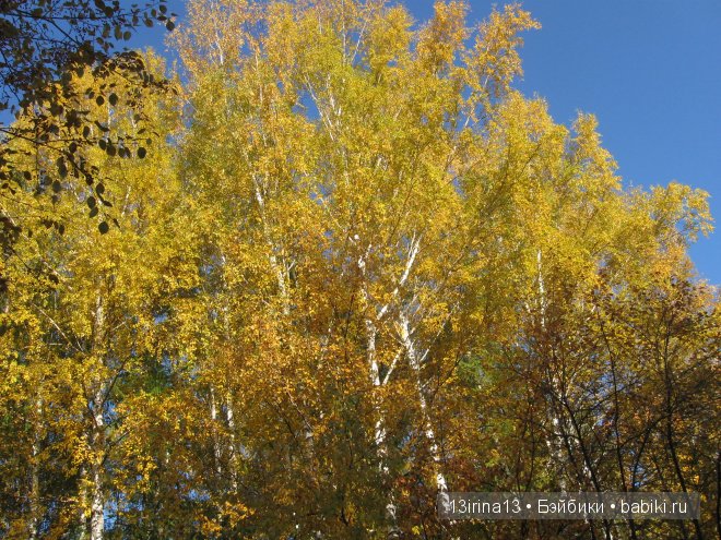 Урок осени, посвящённый ДНЮ УЧИТЕЛЯ