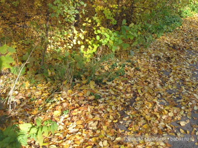 Урок осени, посвящённый ДНЮ УЧИТЕЛЯ (фото 5)