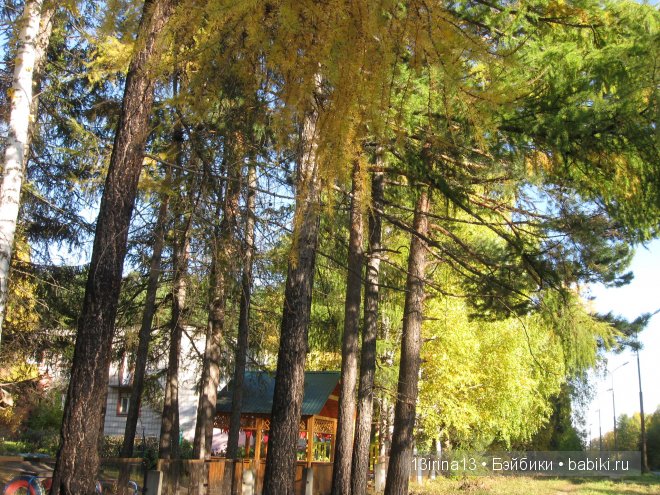 Урок осени, посвящённый ДНЮ УЧИТЕЛЯ