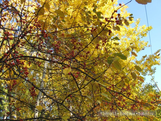 Урок осени, посвящённый ДНЮ УЧИТЕЛЯ