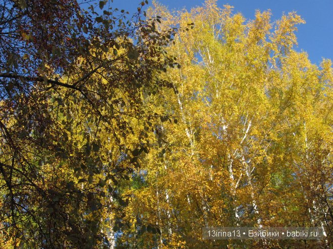 Урок осени, посвящённый ДНЮ УЧИТЕЛЯ