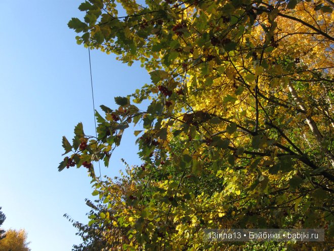 Урок осени, посвящённый ДНЮ УЧИТЕЛЯ