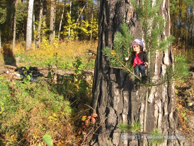 Урок осени, посвящённый ДНЮ УЧИТЕЛЯ