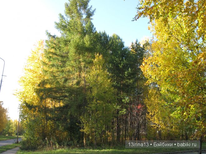 Урок осени, посвящённый ДНЮ УЧИТЕЛЯ
