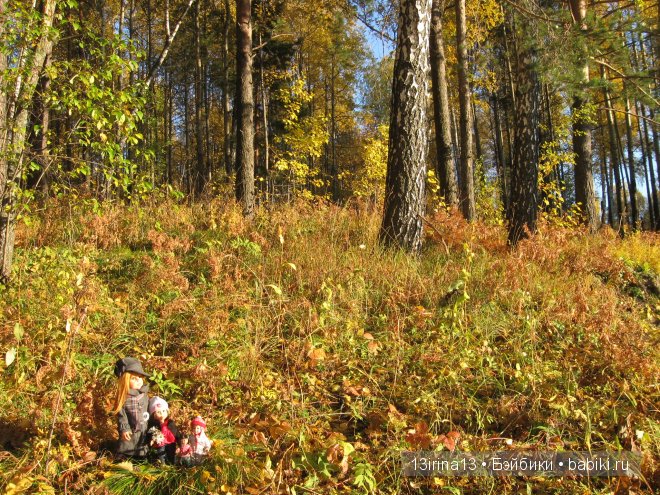 Урок осени, посвящённый ДНЮ УЧИТЕЛЯ