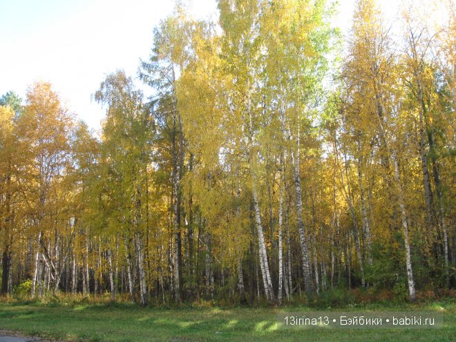 Урок осени, посвящённый ДНЮ УЧИТЕЛЯ