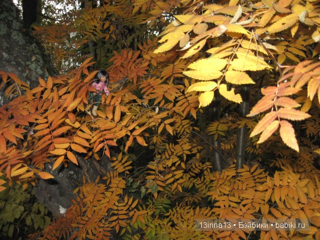 Урок осени, посвящённый ДНЮ УЧИТЕЛЯ