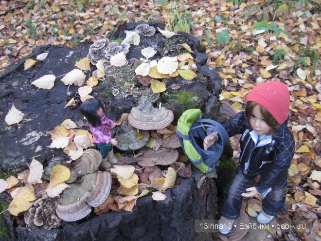 Смелый и отважный Кай (2 часть) (фото 6)