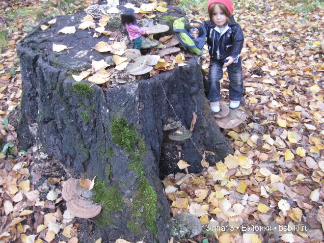 Смелый и отважный Кай (2 часть) (фото 7)