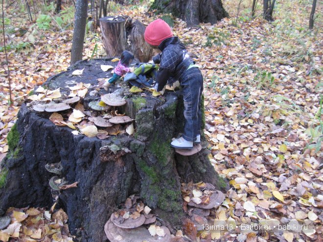 Смелый и отважный Кай (2 часть)