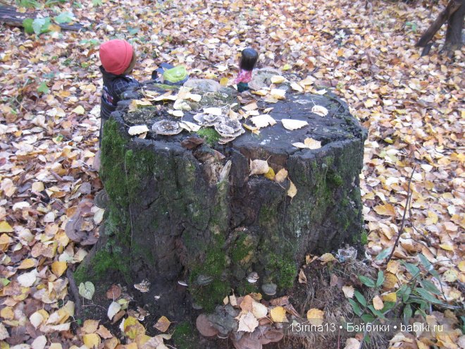 Смелый и отважный Кай (2 часть) (фото 3)