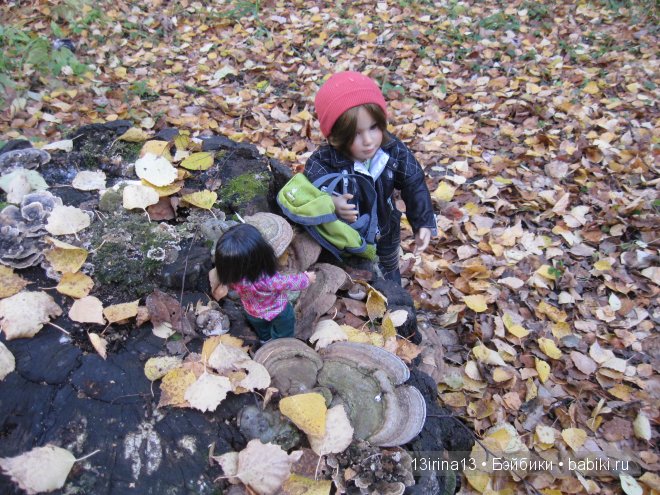 Смелый и отважный Кай (2 часть) (фото 5)