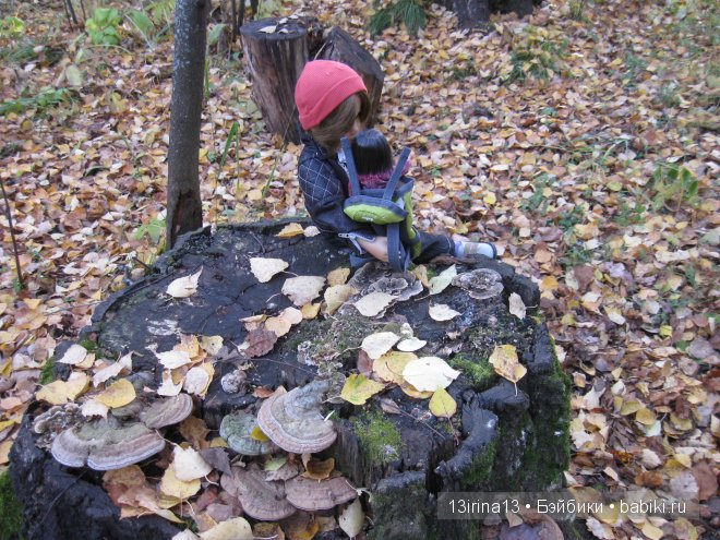 Смелый и отважный Кай (2 часть)