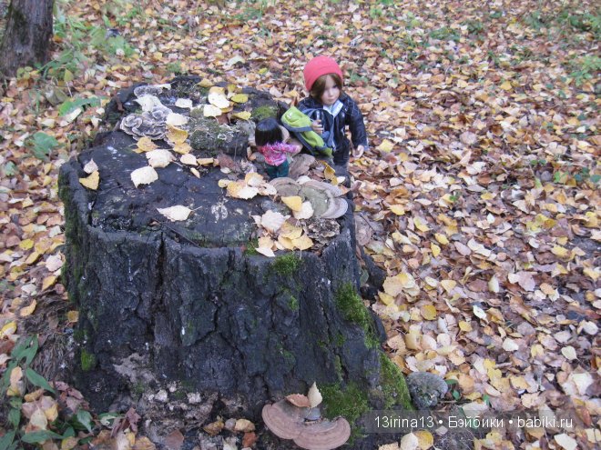 Смелый и отважный Кай (2 часть) (фото 4)