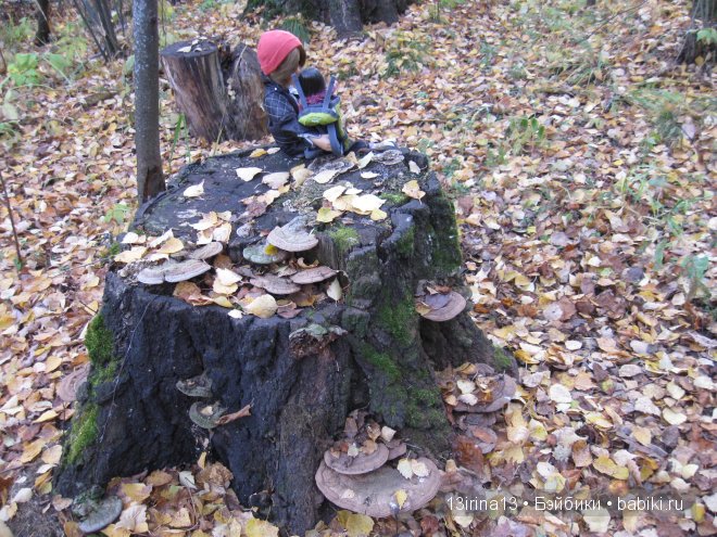 Смелый и отважный Кай (2 часть)