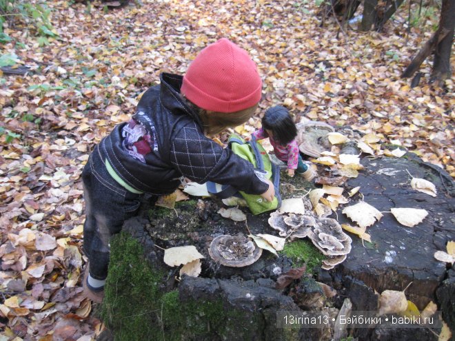 Смелый и отважный Кай (2 часть)