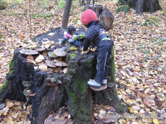 Смелый и отважный Кай (2 часть)