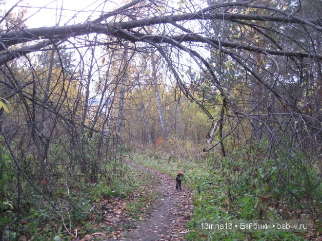 Смелый и отважный Кай (2 часть)
