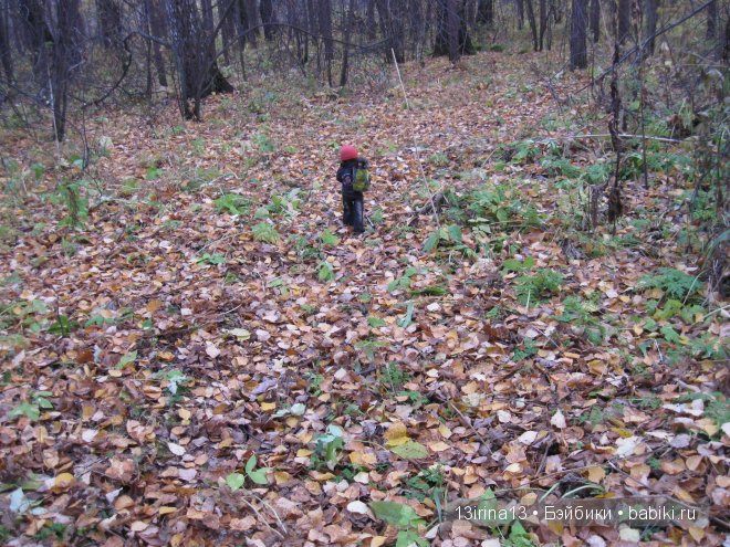 Смелый и отважный Кай (2 часть)