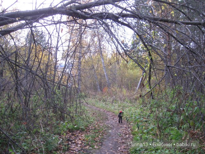 Смелый и отважный Кай (2 часть)