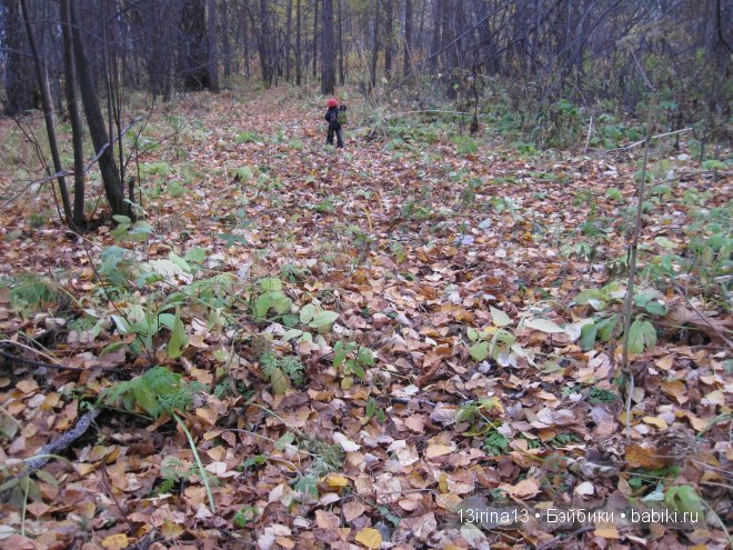 Смелый и отважный Кай (2 часть)
