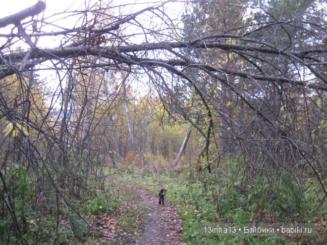 Смелый и отважный Кай (2 часть)