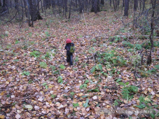 Смелый и отважный Кай (2 часть)