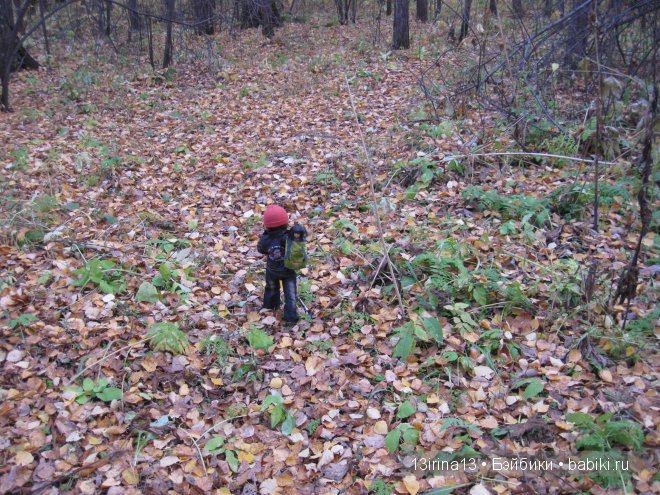 Смелый и отважный Кай (2 часть)