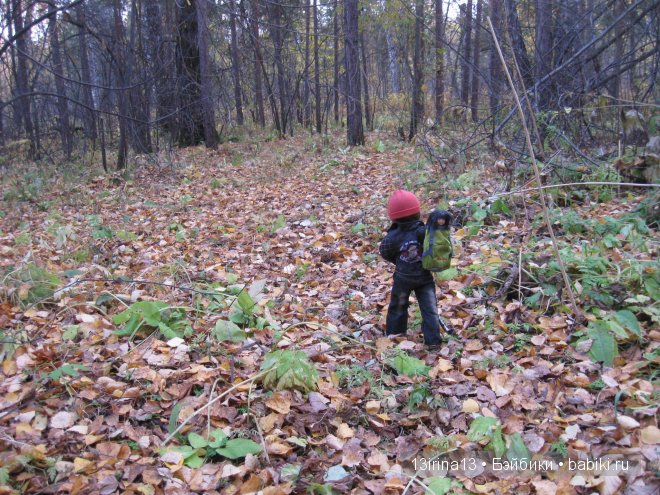 Смелый и отважный Кай (2 часть)