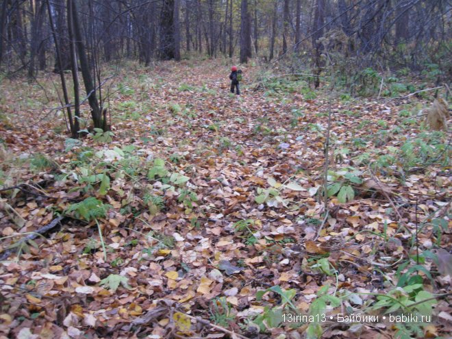 Смелый и отважный Кай (2 часть)