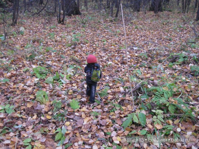 Смелый и отважный Кай (2 часть)