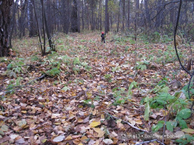 Смелый и отважный Кай (2 часть)
