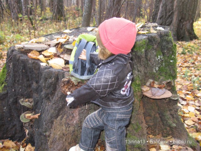 Смелый и отважный Кай (2 часть) (фото 2)