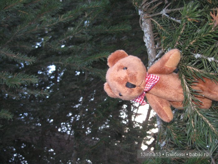 Зимние забавы — Куклы Adora (Адора): коллекционные виниловые