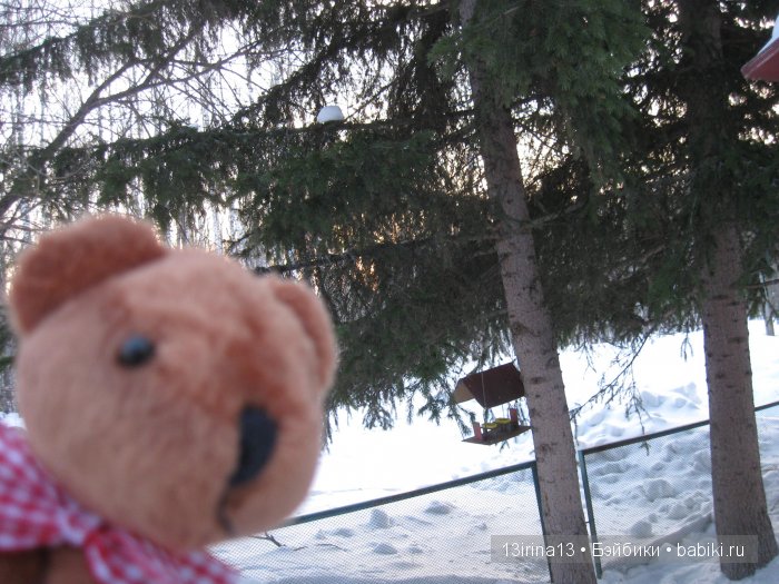 Зимние забавы — Куклы Adora (Адора): коллекционные виниловые