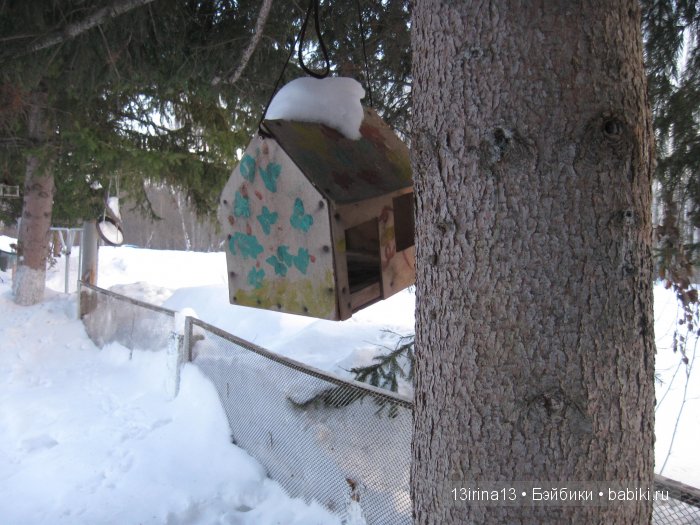 Зимние забавы — Куклы Adora (Адора): коллекционные виниловые