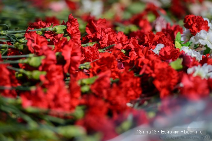 ВЕЧНАЯ ПАМЯТЬ... посвящается Дню победы