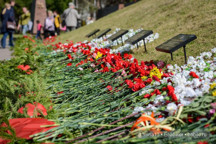 ВЕЧНАЯ ПАМЯТЬ... посвящается Дню победы