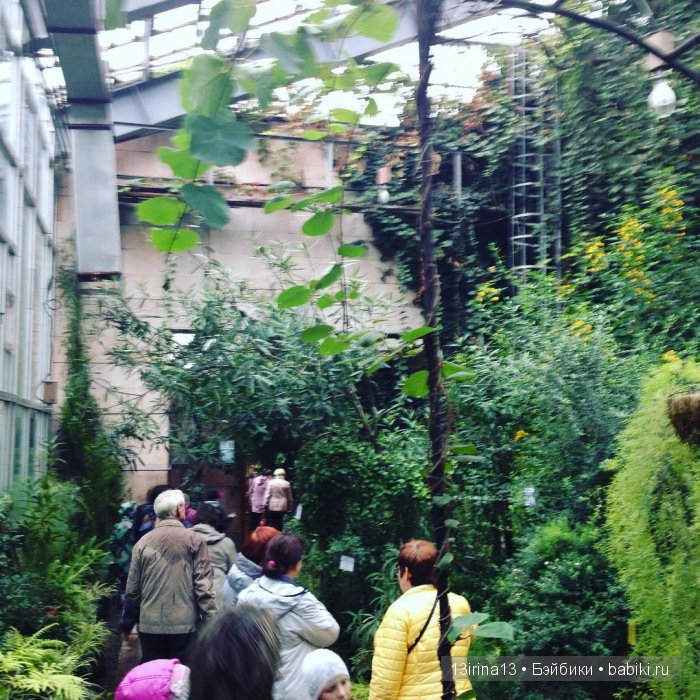 Праздник томича под проливным дождём и неожиданный подарок(1часть)