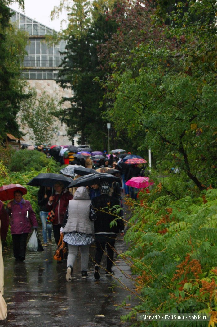 Праздник томича под проливным дождём и неожиданный подарок(1часть)