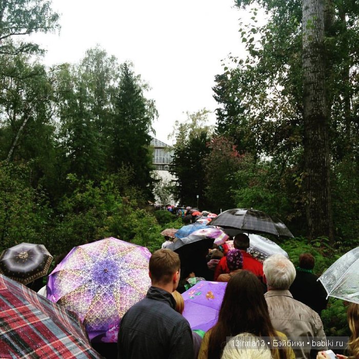 Праздник томича под проливным дождём и неожиданный подарок(1часть)