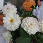 Праздник томича под проливным дождём и неожиданный подарок(1часть)