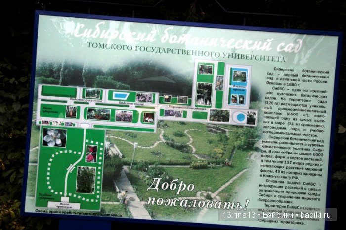 Праздник томича под проливным дождём и неожиданный подарок(1часть)