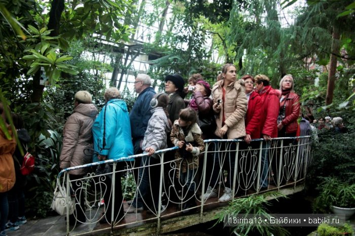 Праздник томича под проливным дождём и неожиданный подарок(1часть)