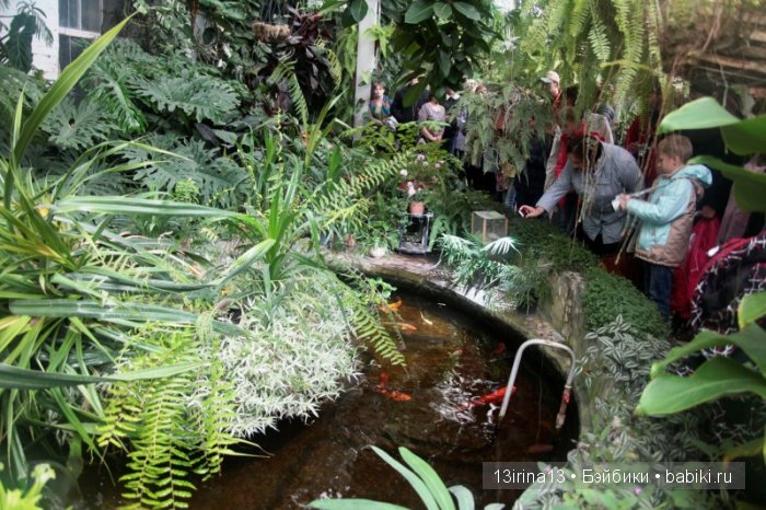 Праздник томича под проливным дождём и неожиданный подарок(1часть)